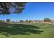 Scenic view of a meticulously maintained golf course, offering a premier golfing experience for residents and guests at 13642 S 42Nd St, Phoenix, AZ 85044