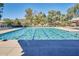 Enjoy lap swimming in the community swimming pool with rows of lounge chairs and a mountain view at 13642 S 42Nd St, Phoenix, AZ 85044