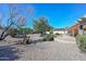 Picturesque backyard featuring a patio, desert landscaping, and mature trees, creating a peaceful and private outdoor space at 14617 W Windcrest Dr, Sun City West, AZ 85375