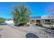 Lush backyard with desert landscaping, mature trees, and solar panels, offering sustainability and natural beauty at 14617 W Windcrest Dr, Sun City West, AZ 85375