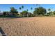Sand volleyball court surrounded by greenery, perfect for summer fun and recreation at 17311 N Kimberly Way, Surprise, AZ 85374