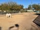 Dog park area with tunnels and other agility equipment for canine exercise and recreation at 255 S Kyrene Rd # 115, Chandler, AZ 85226