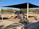 Shaded community playground with multiple play structures, swings, and seating areas in a neighborhood park at 255 S Kyrene Rd # 115, Chandler, AZ 85226