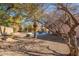 Expansive backyard with a sparkling pool framed by mature trees and desert landscaping, offering privacy and tranquility at 4628 E Gelding Dr, Phoenix, AZ 85032