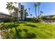 Lush green lawn with palm trees surrounds this modern building, offering a tranquil outdoor space at 6850 E Main St # 4416, Scottsdale, AZ 85251