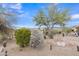 Well-maintained desert plants add visual interest to the backyard landscaping at 8096 E Lavender Dr, Gold Canyon, AZ 85118