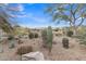 Desert landscaping defines the backyard of this home featuring native plants and gravel at 8096 E Lavender Dr, Gold Canyon, AZ 85118