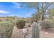 Lush desert plants and rock features add dimension to the backyard landscaping at 8096 E Lavender Dr, Gold Canyon, AZ 85118