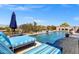 Sparkling backyard pool with sun loungers, umbrella, and well-maintained landscaping at 1432 E Pedro Rd, Phoenix, AZ 85042