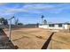 Spacious backyard featuring a block fence and mature palm tree providing shade and privacy at 2545 E Amelia Ave, Phoenix, AZ 85016
