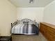 Bedroom showcasing a daybed, chest of drawers, carpet flooring, and neutral-colored walls at 671 E Colt Ct, Chandler, AZ 85225