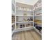 Walk-in pantry with organized shelving and storage solutions to neatly store goods at 8043 E Jaeger St, Mesa, AZ 85207