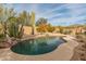 Backyard pool surrounded by desert landscaping, including cacti and native shrubs, creating a serene oasis at 8340 E Rowel Rd, Scottsdale, AZ 85255