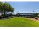 Community tennis court surrounded by green grass, landscaping, and shade trees at 1170 E Taylor Trl, San Tan Valley, AZ 85143