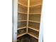 Spacious walk-in pantry with shelving, providing ample storage for food and kitchen supplies at 21255 W Ashland Ave, Buckeye, AZ 85396