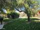 A community green space with mature tree, leading to a pool in the background at 349 E Thomas Rd # E402, Phoenix, AZ 85012