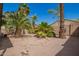 Backyard featuring desert landscaping, mature palm trees, and a rock border, creating a tranquil outdoor space at 9922 E Onza Ave, Mesa, AZ 85212