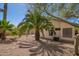 Expansive backyard with lush palm trees, desert landscaping, and a brick-lined border for a beautiful outdoor retreat at 9922 E Onza Ave, Mesa, AZ 85212