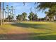 Picturesque golf course view with manicured green, palm trees, and clear blue sky at 10909 W Santa Fe Dr, Sun City, AZ 85351
