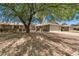 Charming single-story home with a well-kept front yard, mature tree, and a two-car garage at 14633 N Boswell Blvd, Sun City, AZ 85351
