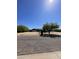 Single-story home featuring desert landscaping, mature trees, and clear blue sky at 16423 N 41St Pl, Phoenix, AZ 85032