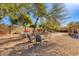 Spacious backyard featuring shade trees, a hammock, and outdoor seating for entertaining at 4044 E Cascalote Dr, Cave Creek, AZ 85331