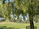 Lush park view showcasing manicured green space and mature trees at 7348 N Via Camello Del Norte -- # 223, Scottsdale, AZ 85258