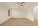 Spacious bedroom featuring neutral carpeting, a ceiling fan, and abundant natural light at 11128 E Segura Ave, Mesa, AZ 85212