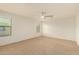 Bright bedroom with neutral carpet, ceiling fan, and multiple windows for natural light at 11128 E Segura Ave, Mesa, AZ 85212