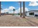 Large backyard showcasing a pool and desert landscaping with large palm trees at 13845 N 41St Ave, Phoenix, AZ 85053