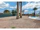 Spacious backyard with desert landscaping, palm trees, pool, and privacy fence at 13845 N 41St Ave, Phoenix, AZ 85053