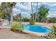 Backyard pool with desert landscaping, a blue umbrella, and mature trees at 13845 N 41St Ave, Phoenix, AZ 85053