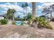 Backyard pool surrounded by desert landscaping and large palm trees on a sunny day at 13845 N 41St Ave, Phoenix, AZ 85053