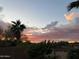 Desert backyard with palm trees and iron fence under a colorful sunset at 17634 W Verdin Rd, Goodyear, AZ 85338