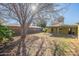 Green backyard with a mature tree and plenty of space for outdoor activities at 3027 N 21St Pl, Phoenix, AZ 85016