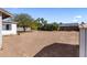 Wide shot of the backyard featuring mature trees and a fence line at 3031 S Los Altos --, Mesa, AZ 85202