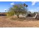 Backyard featuring mature trees and a fence line at 3031 S Los Altos --, Mesa, AZ 85202