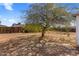 The backyard has desert landscaping and a mature shade tree at 3031 S Los Altos --, Mesa, AZ 85202