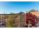 A serene backyard features desert views, a wrought iron fence, and vibrant bougainvillea for added privacy and beauty at 30816 N 138Th Ave, Peoria, AZ 85383