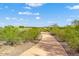 Community walking path surrounded by desert vegetation under a sunny sky at 30816 N 138Th Ave, Peoria, AZ 85383