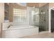 Bright bathroom features patterned shower and accent wall, and separate tub at 3144 E Desert Broom Way, Phoenix, AZ 85048