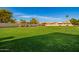 Expansive community greenspace surrounded by a wall, desert plants and palm trees at 3144 E Desert Broom Way, Phoenix, AZ 85048