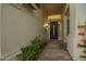 Close-up view of front door shows tiled walkway, plants, and lighting at 3144 E Desert Broom Way, Phoenix, AZ 85048