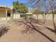 Spacious backyard with gravel and mature trees, offering ample space for outdoor activities at 3313 N Lakeshore Ct, Avondale, AZ 85392