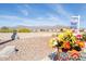 Backyard featuring desert flowers and mountain views in the background at 8212 E Masters Rd, Gold Canyon, AZ 85118