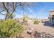 Backyard desert landscape with natural vegetation and mountain views in the background at 8212 E Masters Rd, Gold Canyon, AZ 85118