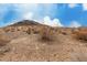 Views of the local desert landscape, featuring arid plants and rocky ground at 13204 N 3Rd Way, Phoenix, AZ 85022