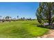 Lush green golf course with rolling hills and palm trees in the background at 17200 W Bell Rd # 357, Surprise, AZ 85374