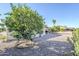 Mature tree adds charm to backyard with desert landscaping, providing shade and visual appeal at 2159 Leisure World --, Mesa, AZ 85206