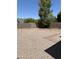 A backyard with a tall shade tree, rock groundcover, concrete block fence, and paving stone pathway at 2634 N Saffron Cir, Mesa, AZ 85215